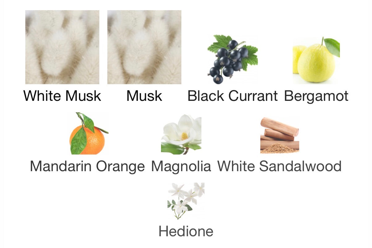 Musk Therapy by Initio