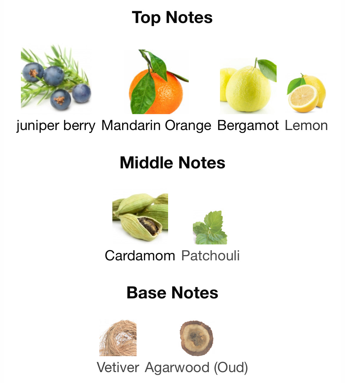 Date for Men by Fragrance One