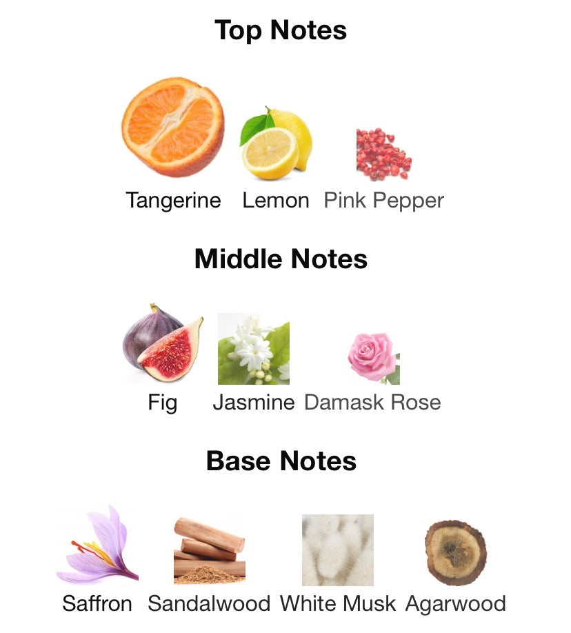 Prisme Vert by Patek Maison