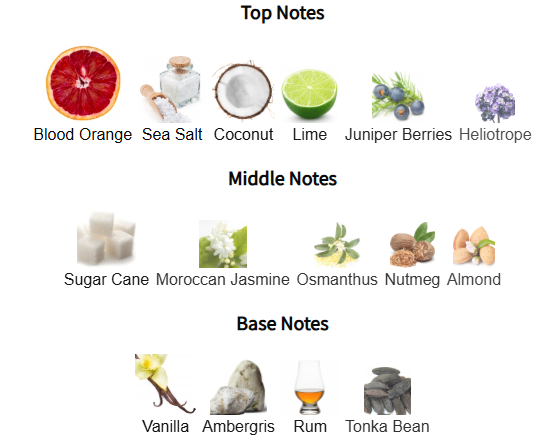 Red Line 2654 City Rhythm