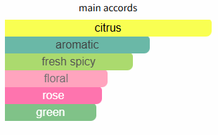 Pour Homme by Versace