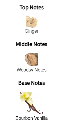 Azzaro The Most Wanted Parfum