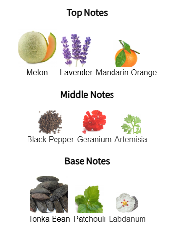 Jimmy Choo Man Intense