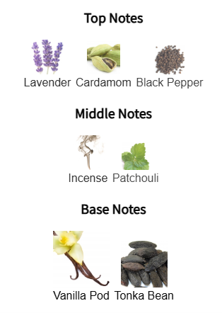 Invictus Victory Elixir by Rabanne