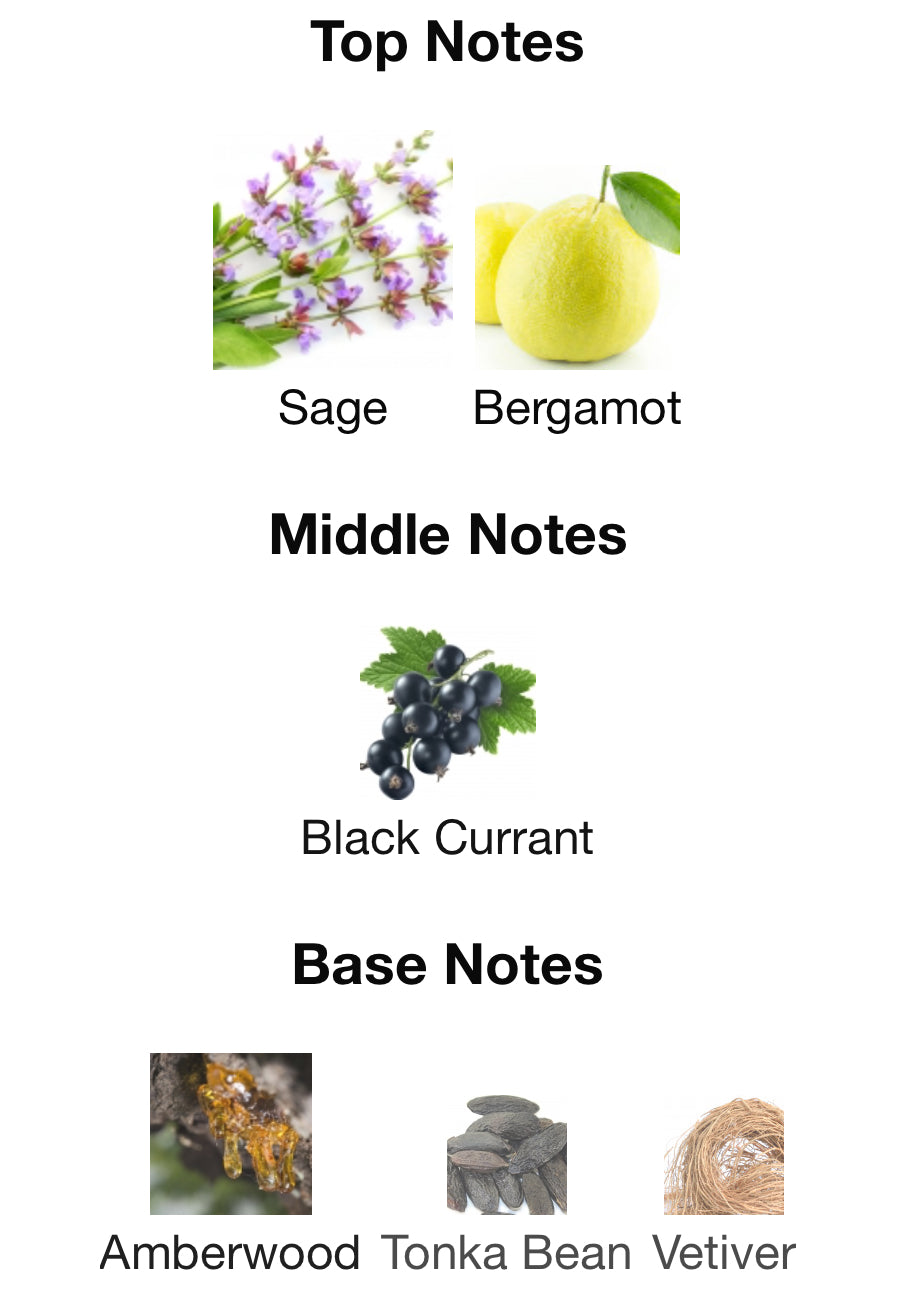 Speed Legends by Ex Nihilo