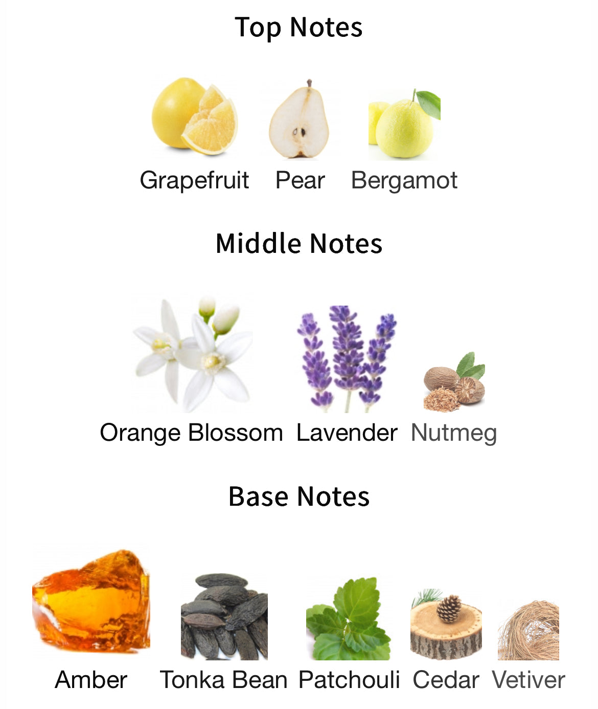 Cognac Haze Pour Homme by Camille Rochelle