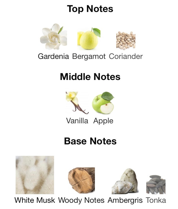 Luminous Ghost by Patek Maison