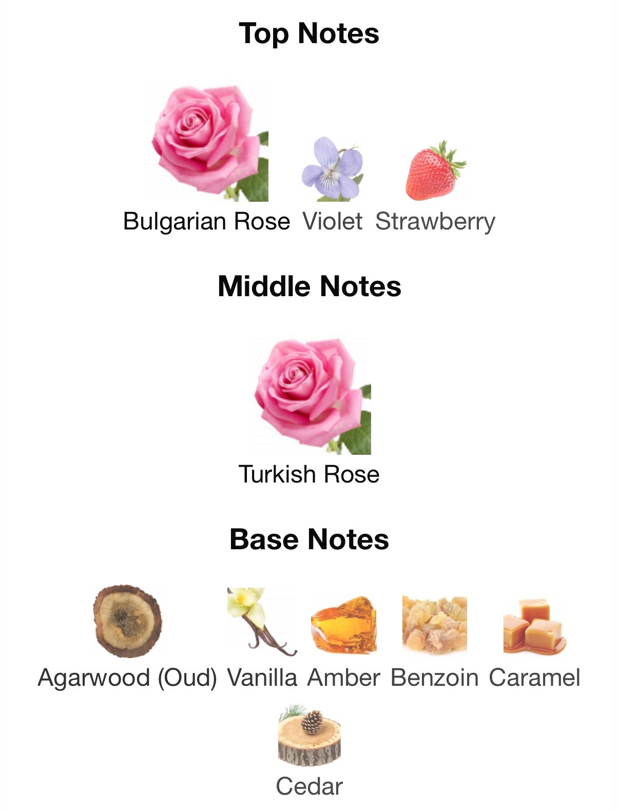 Oud Satin Mood EDP by MFK