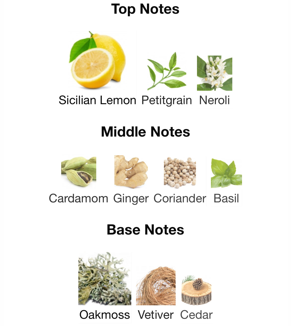 Pour Monsieur by Chanel