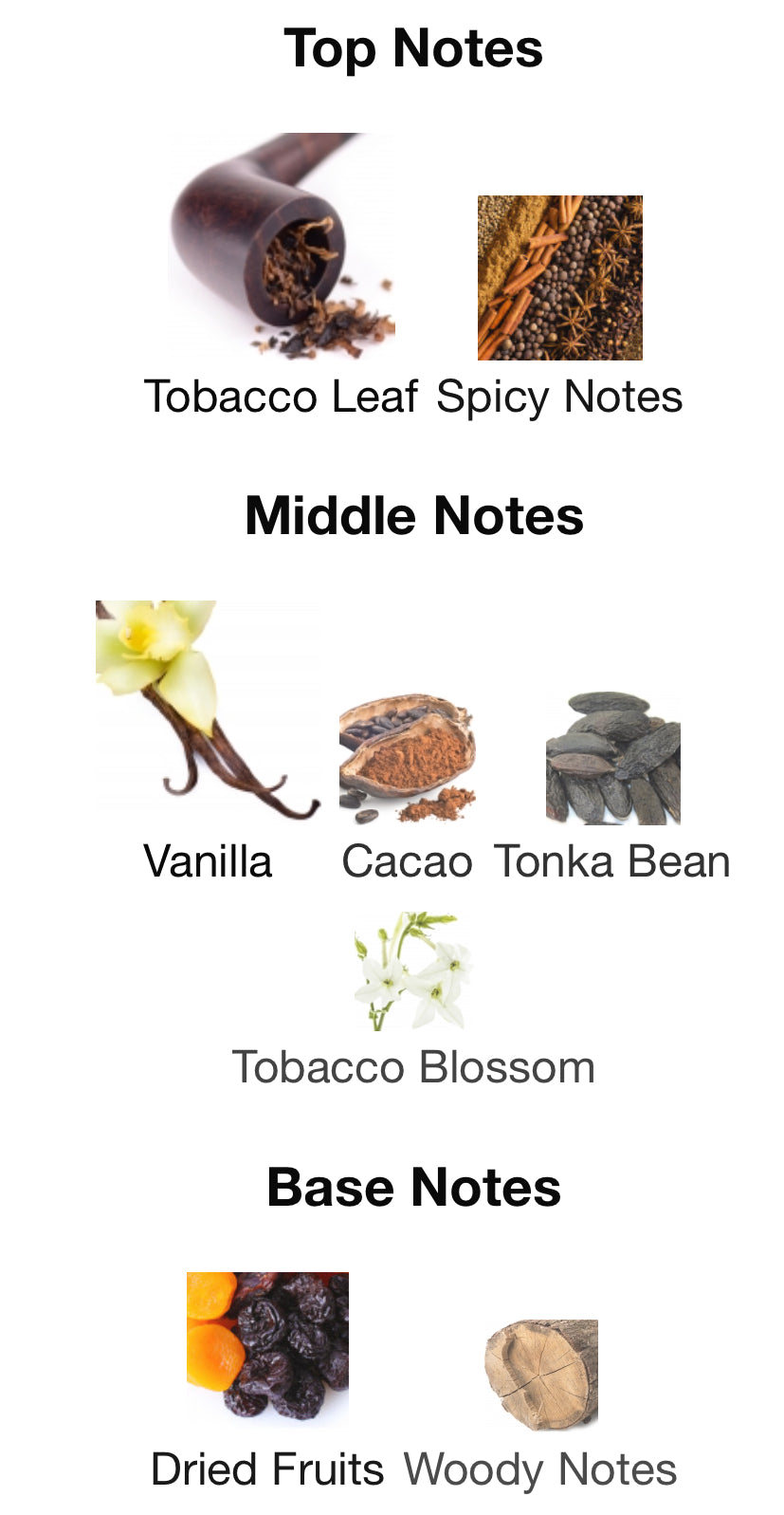 Tobacco Vanille by Tom Ford