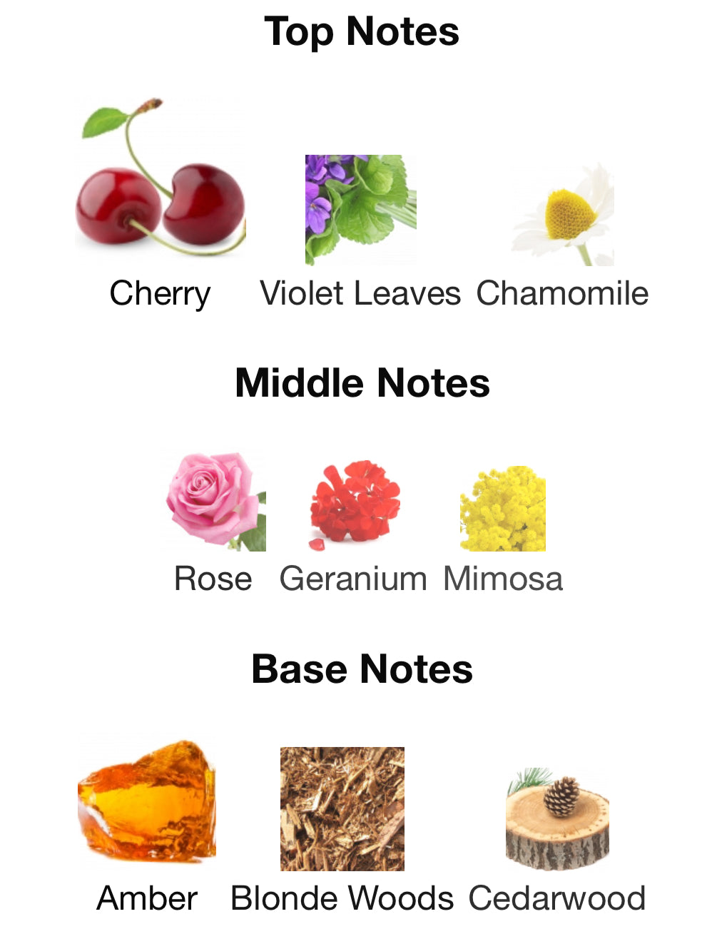 French Defense by Mind Games