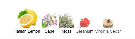 Pacific Rock Moss by Goldfield & Banks