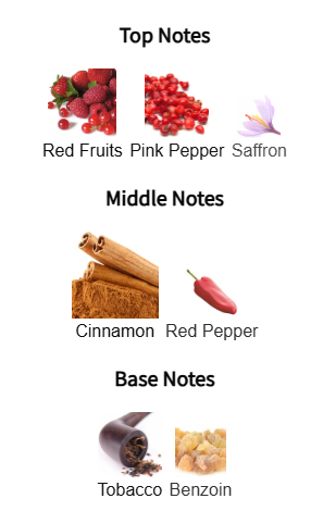 Spicebomb Infrared by Viktor&Rolf