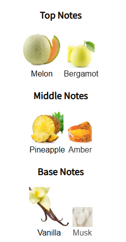 Citizen Jack Absolute by Michael Malul