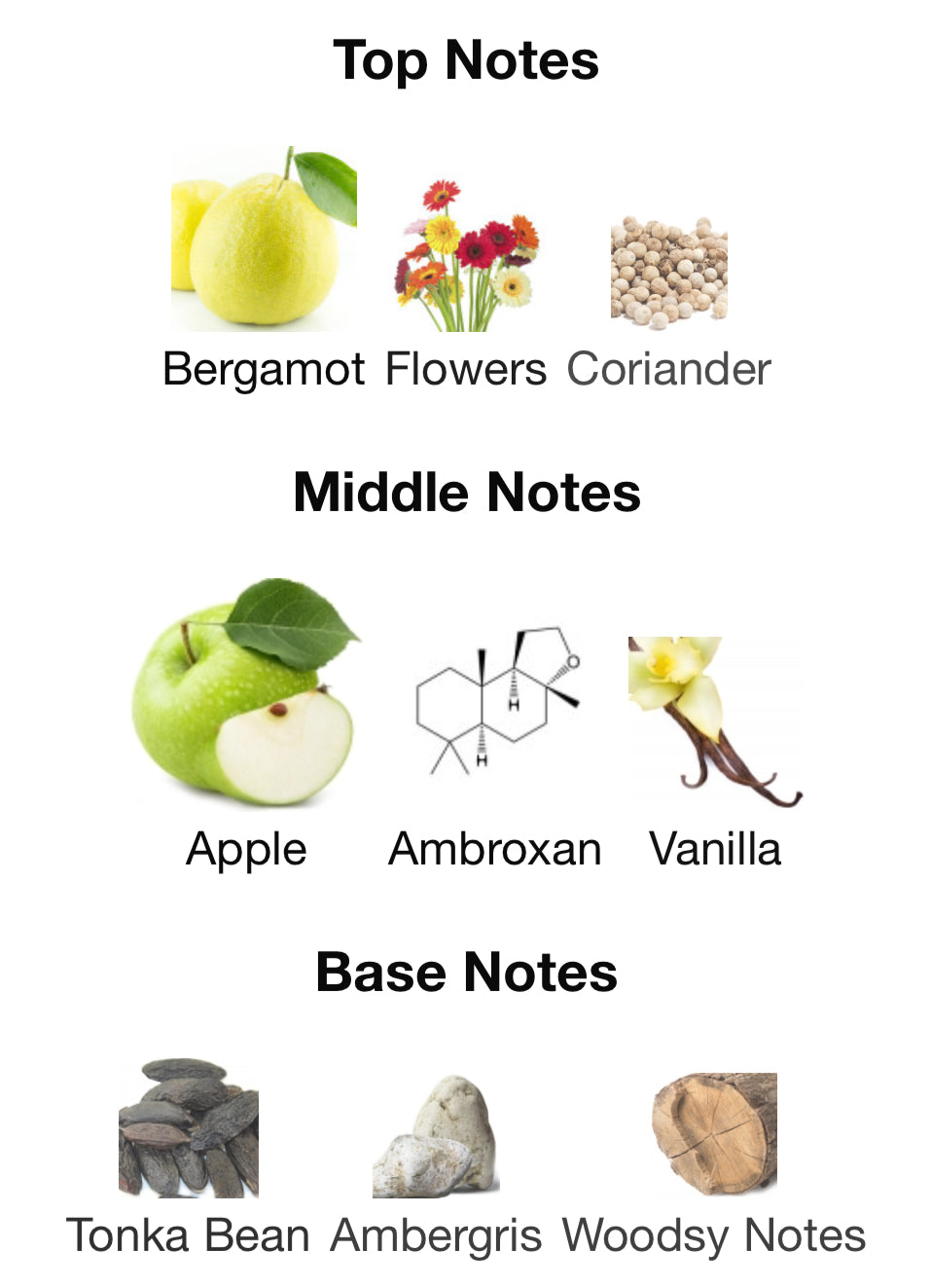 Lafayette Street by Bond No 9