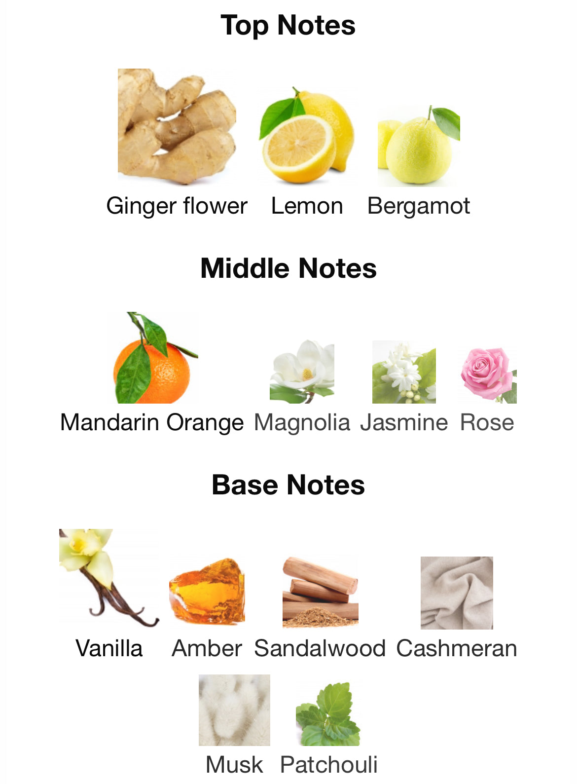 Ingenious Ginger by Goldfield & Banks